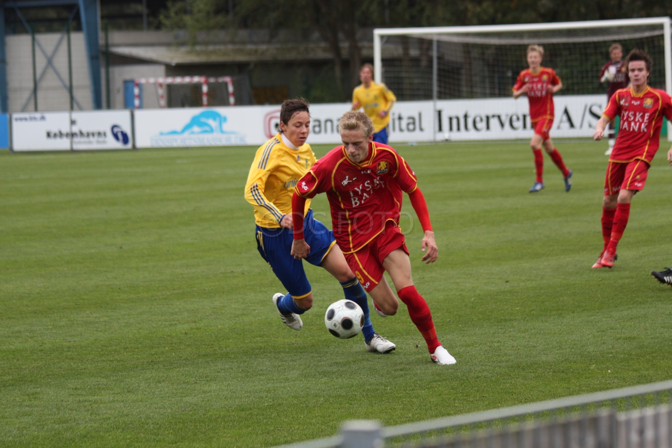 BIF FCN 040