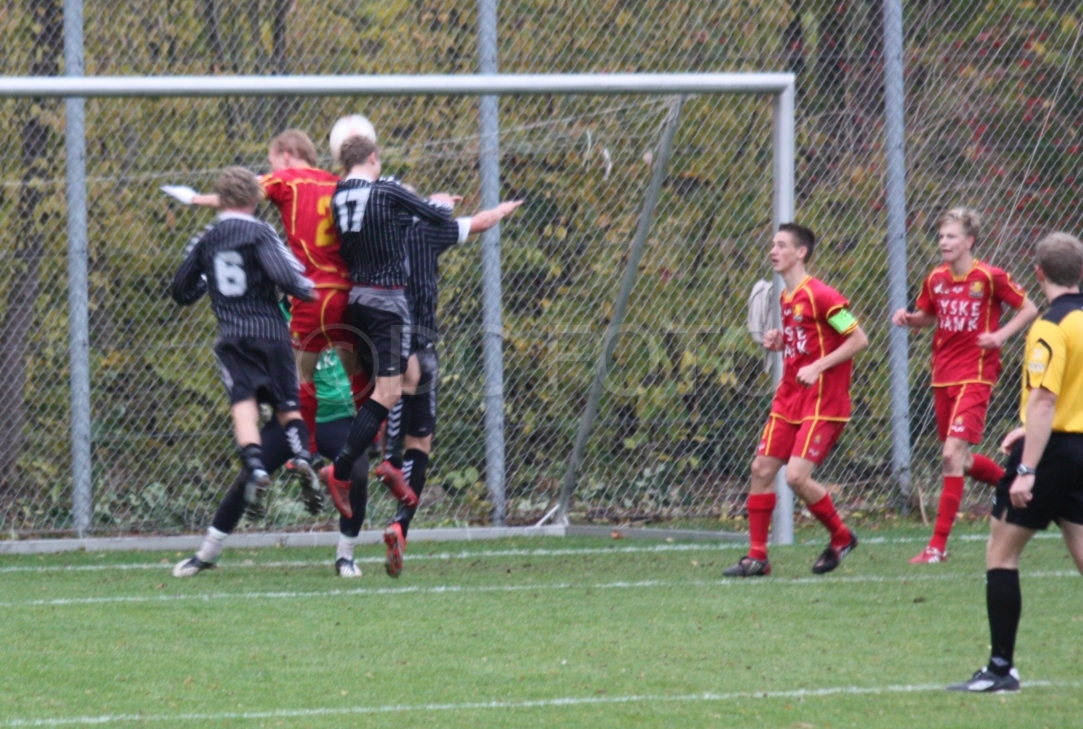 FCN Aab 016