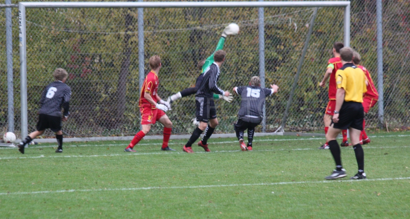 FCN Aab 017