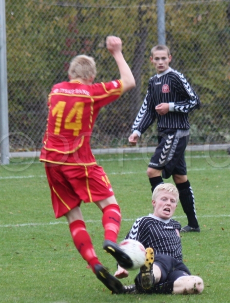 FCN Aab 036