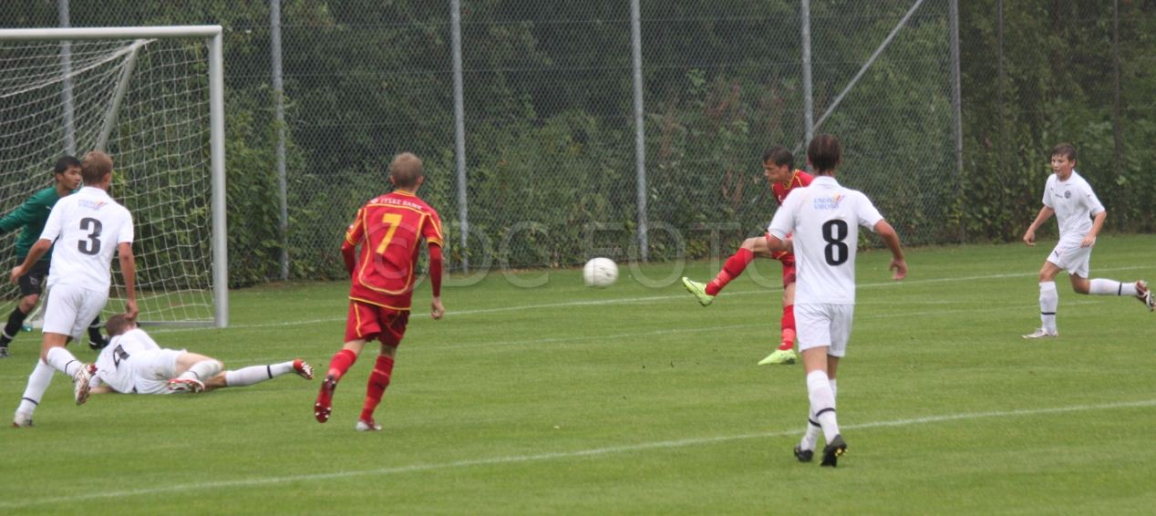 FCN VIB 006