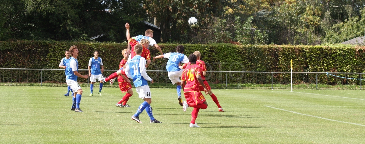 LB FCN017