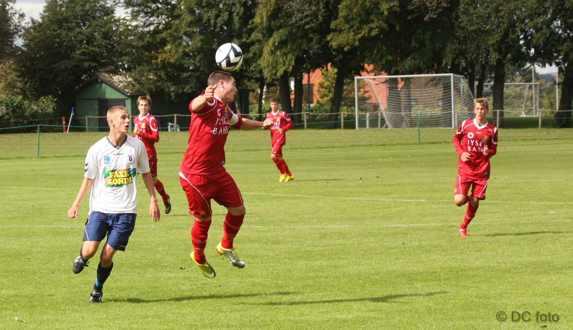 AGF FCN 012