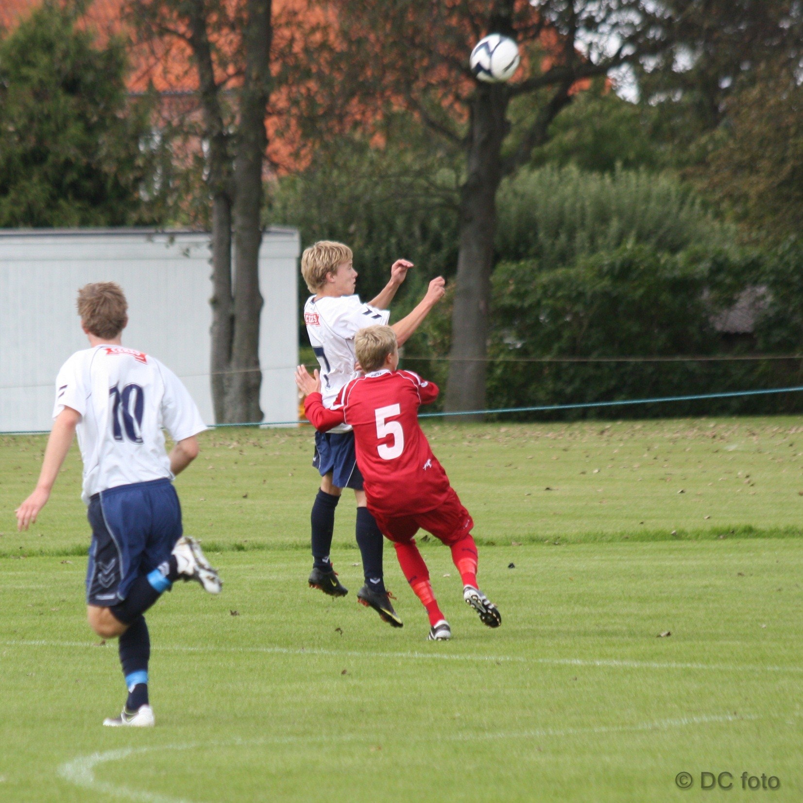 AGF FCN 017