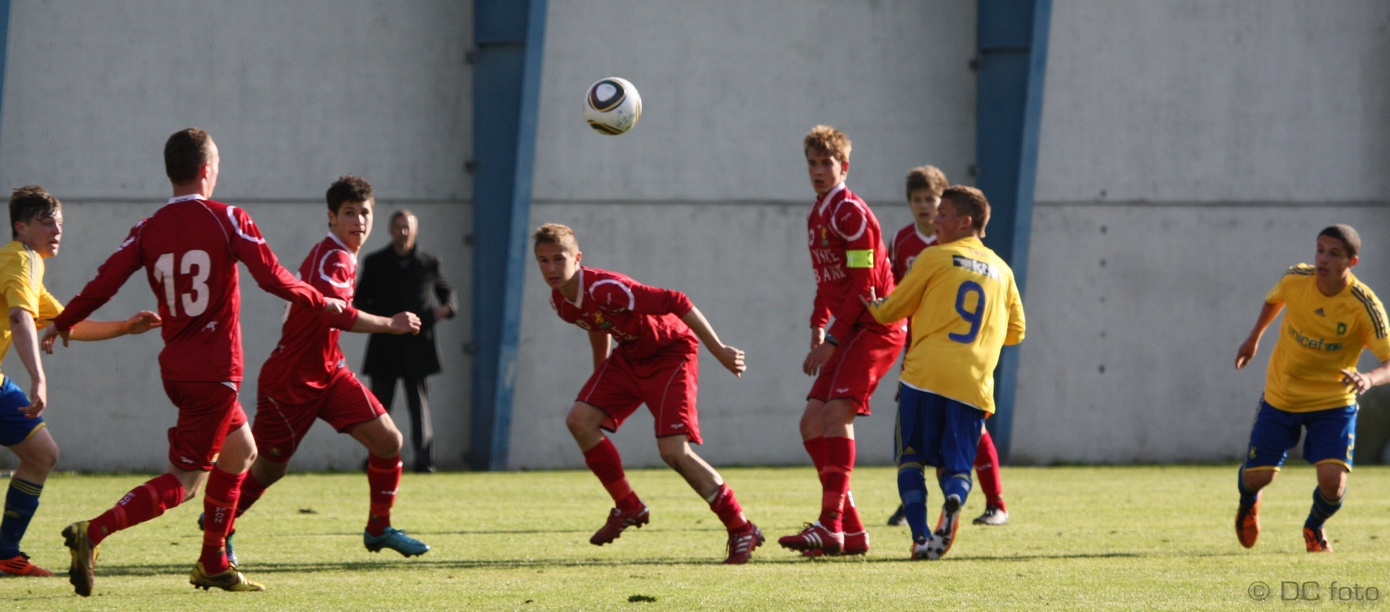 BIF FCN115