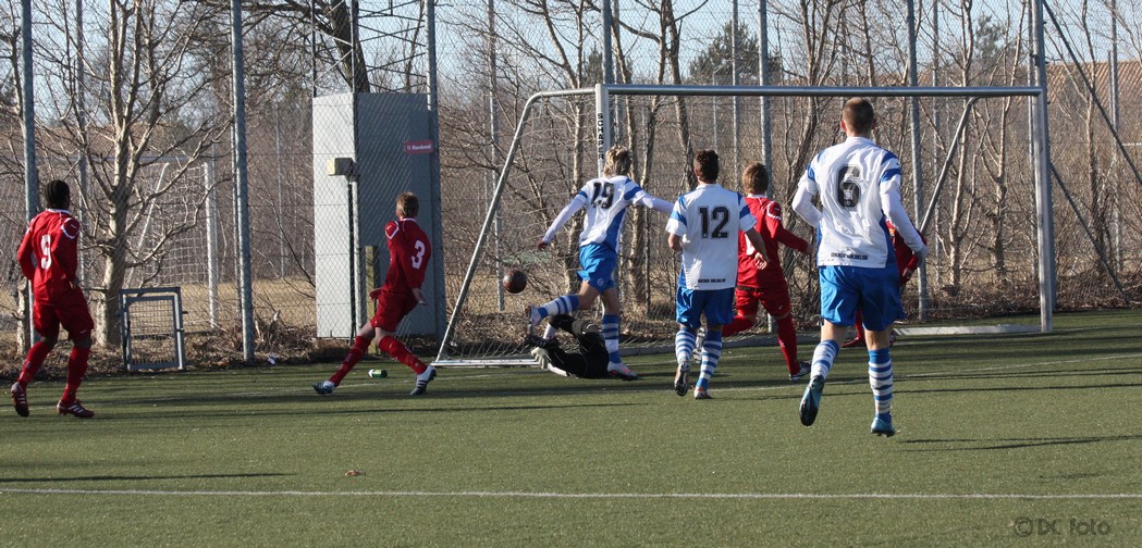 FCN OB036