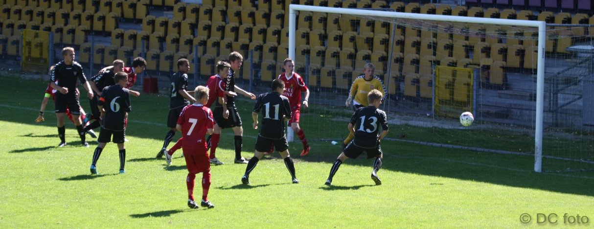 FCN VEJ019