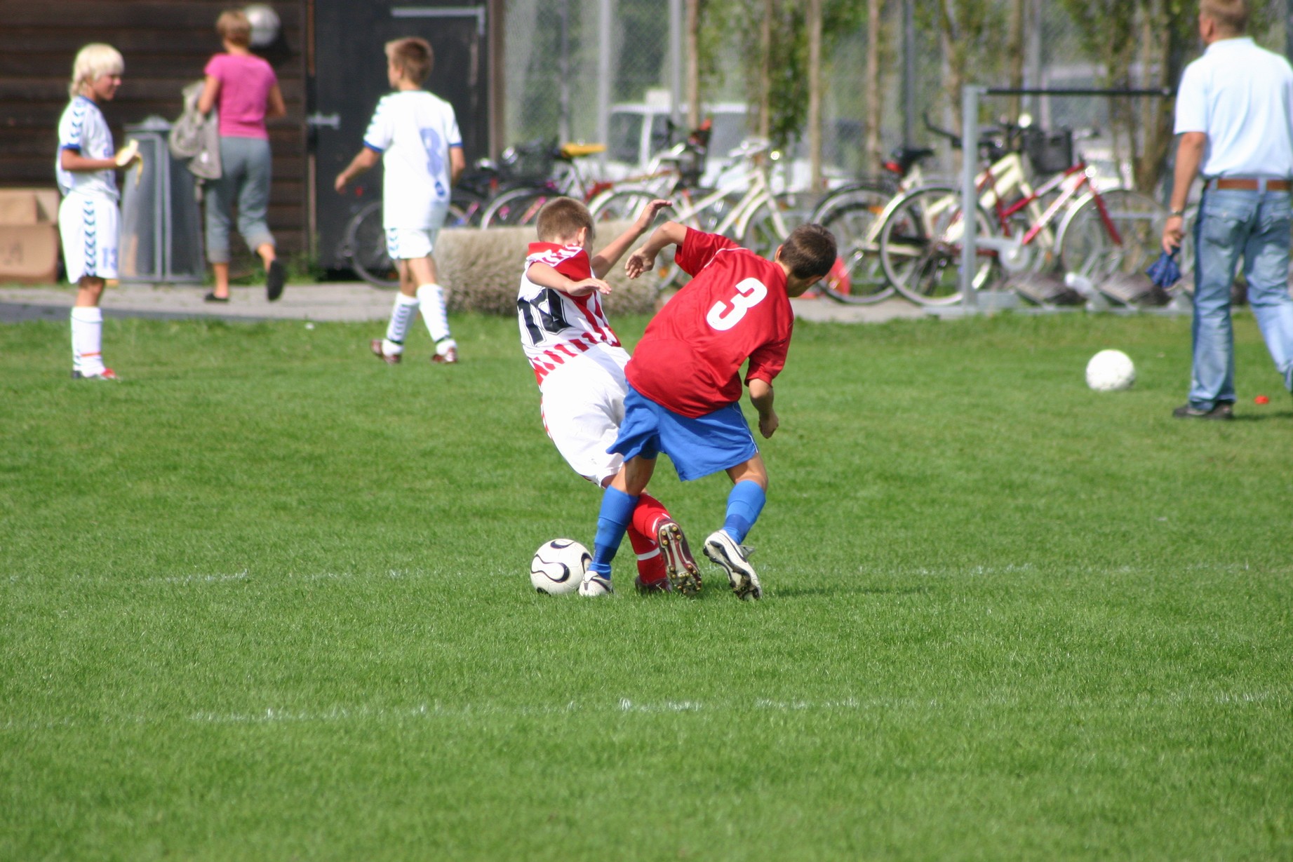 HundigeCup27