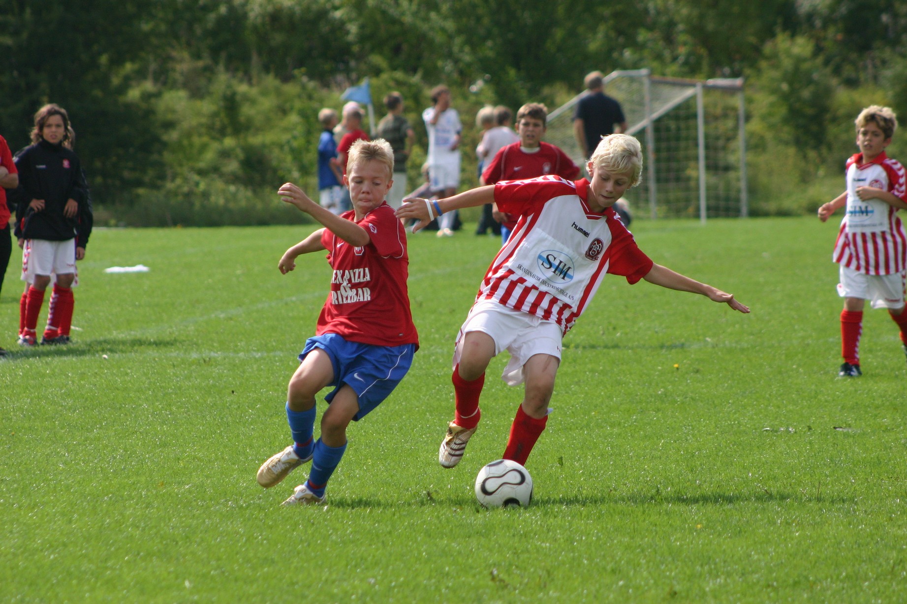 HundigeCup28