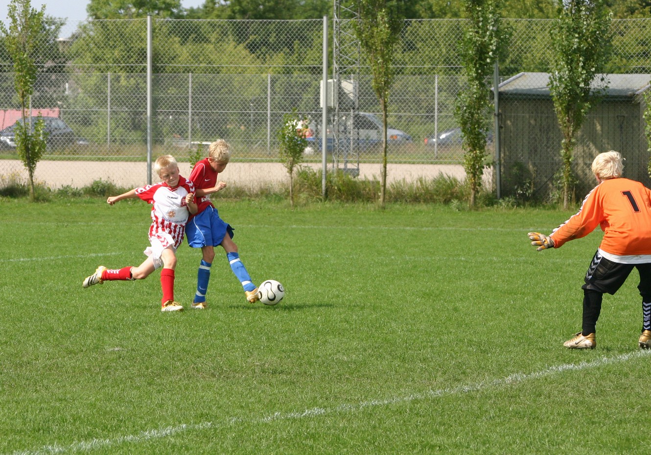 HundigeCup29