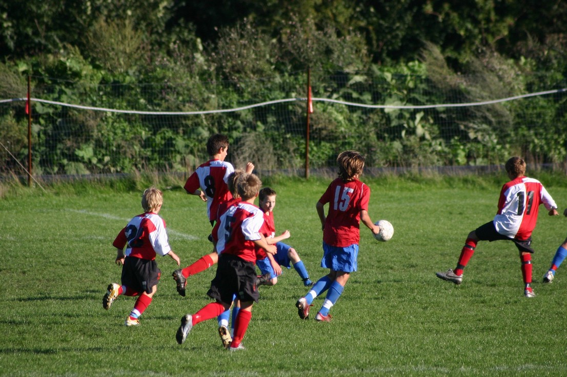 08 09 06 Skjold HIF10