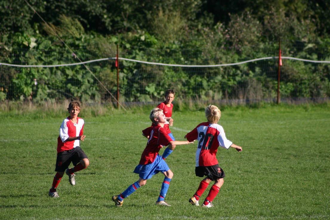 08 09 06 Skjold HIF14