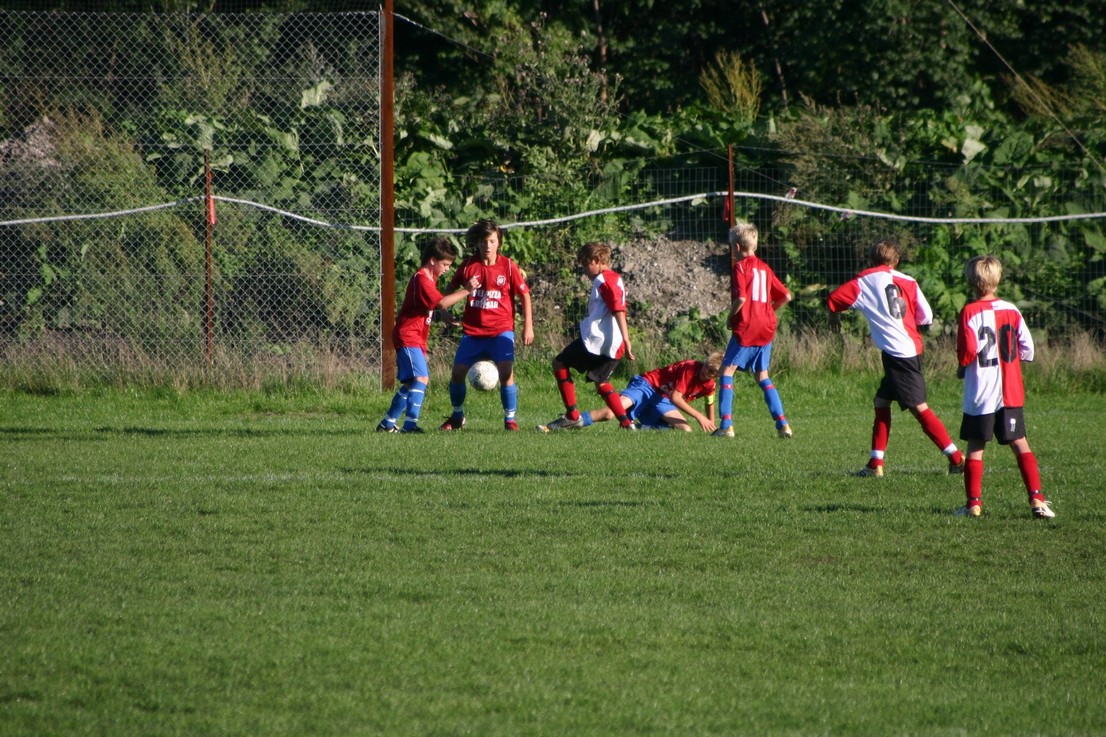 08 09 06 Skjold HIF17