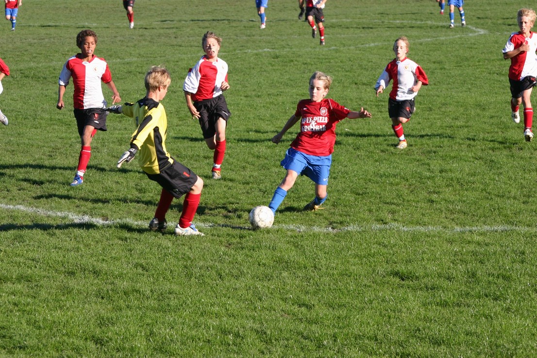 08 09 06 Skjold HIF19