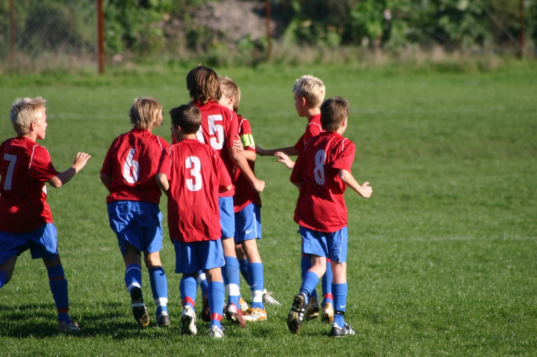 08 09 06 Skjold HIF2