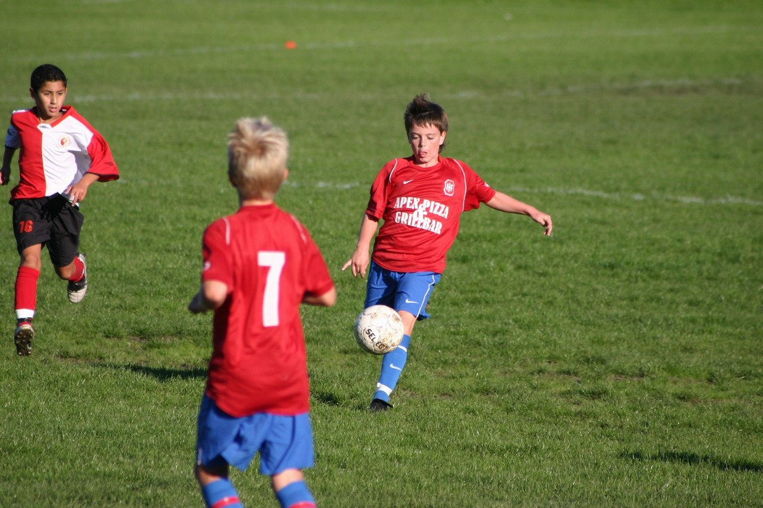 08 09 06 Skjold HIF24