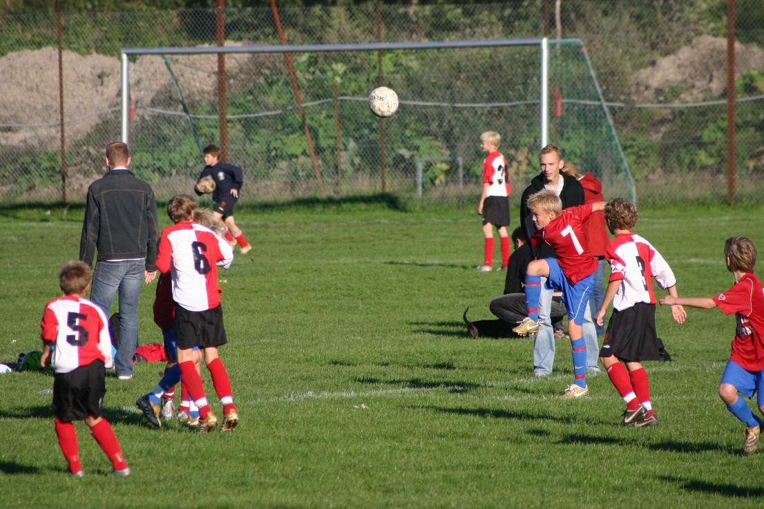 08 09 06 Skjold HIF29