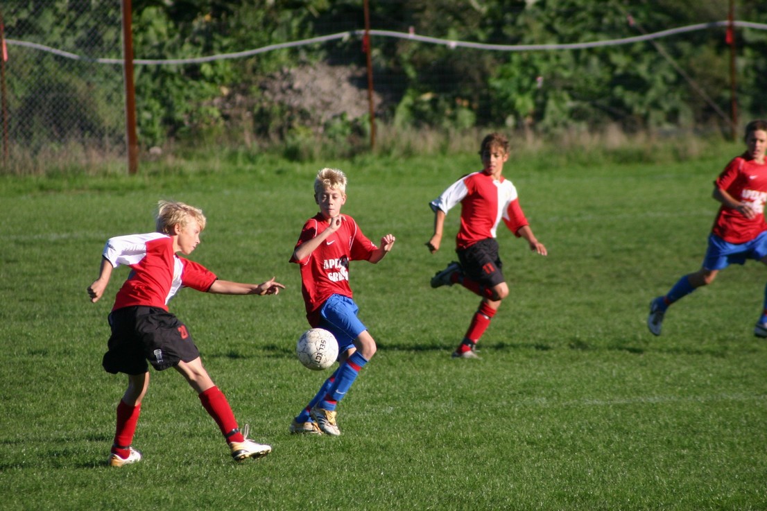 08 09 06 Skjold HIF3
