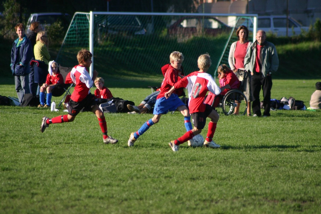 08 09 06 Skjold HIF33