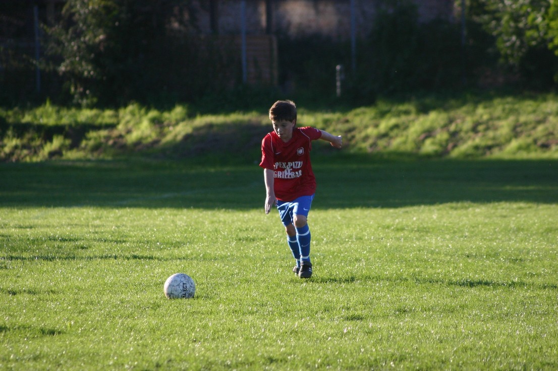 08 09 06 Skjold HIF46