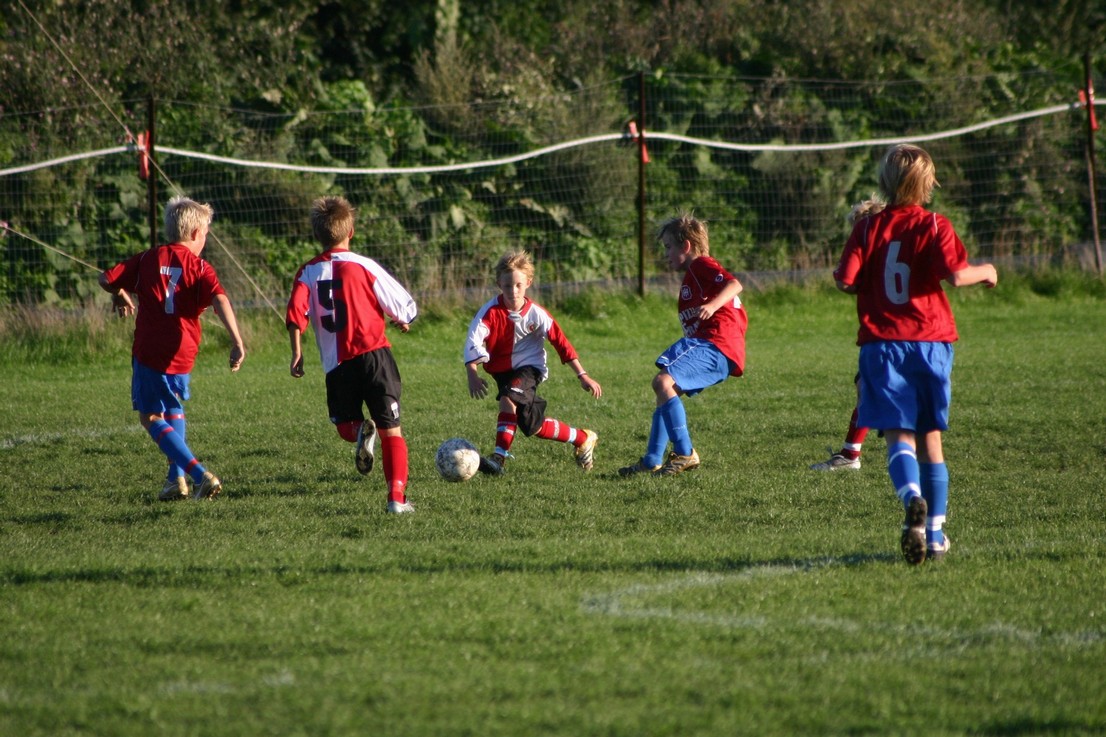 08 09 06 Skjold HIF47