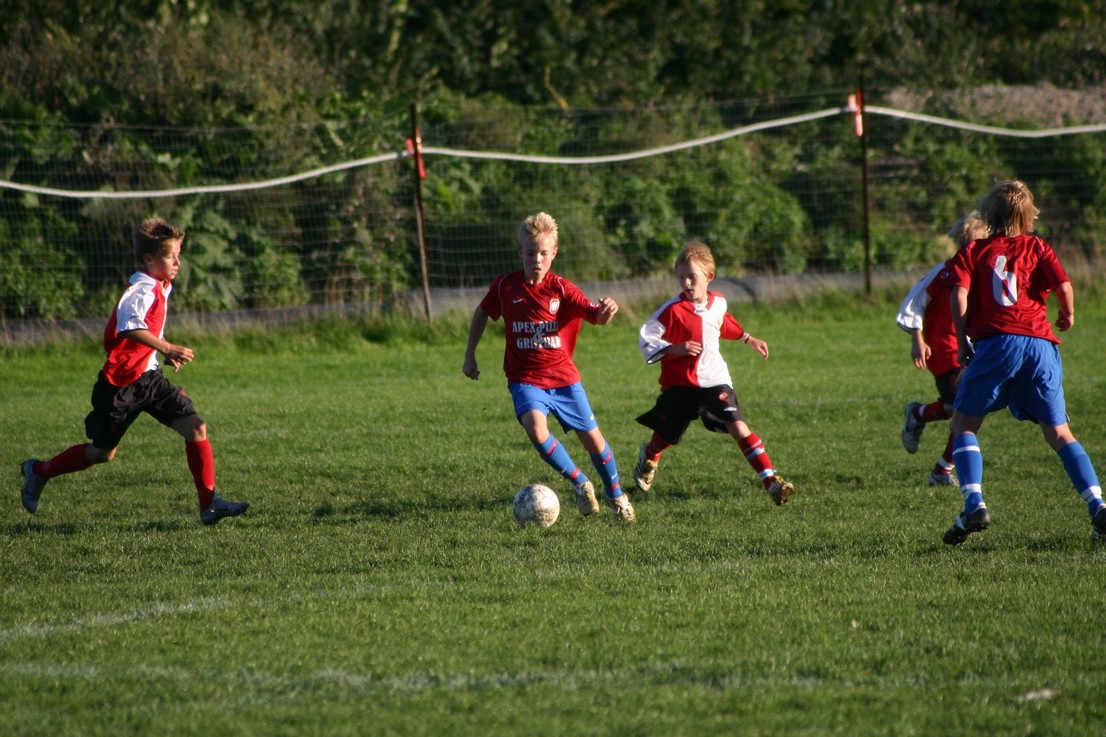 08 09 06 Skjold HIF48