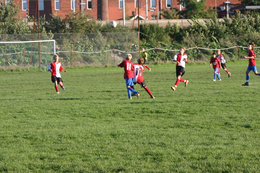 08 09 06 Skjold HIF50