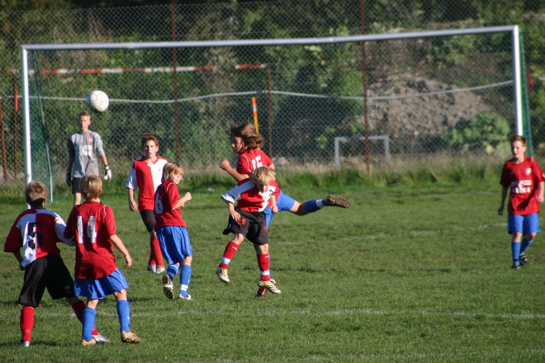 08 09 06 Skjold HIF6